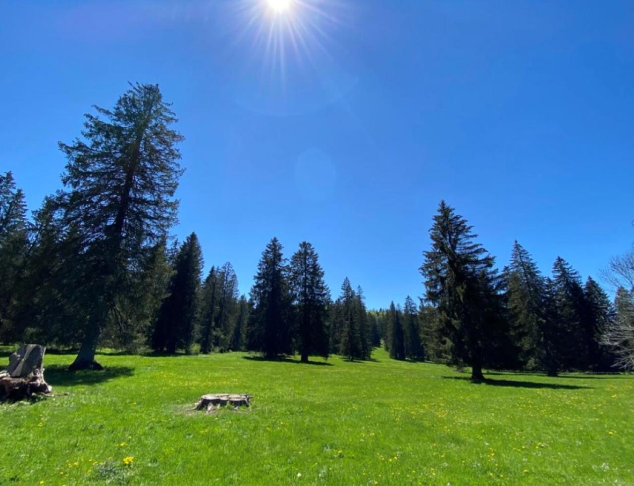 Villa 18.78, 10 Min De La Suisse Damprichard Екстер'єр фото
